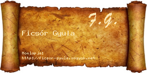 Ficsór Gyula névjegykártya